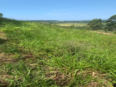 Stio para Venda, em Imaru, bairro Canguiri