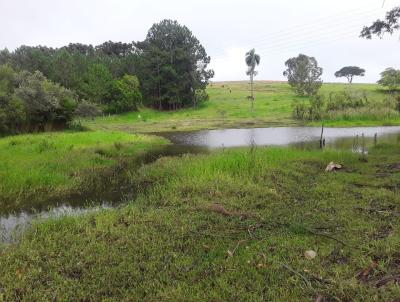 Stio para Venda, em Avar, bairro Tres coqueiros