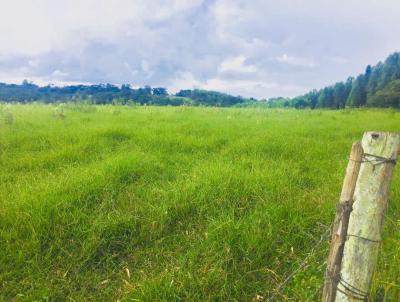 Stio para Venda, em Avar, bairro Area rural de Avar