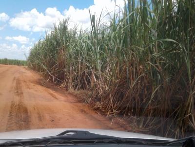 Fazenda para Venda, em Ivinhema, bairro Rural