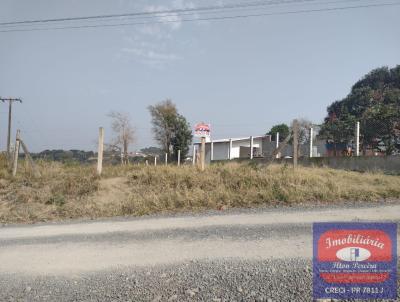 Terreno para Venda, em Lapa, bairro Cristo Rei