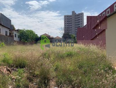 Terreno para Venda, em Catanduva, bairro Centro