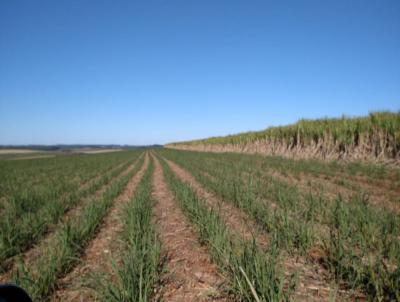 Fazenda para Venda, em Ita, bairro Rural