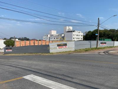 Terreno para Venda, em Araucria, bairro Centro