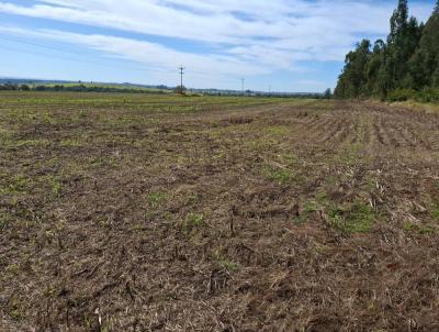 Fazenda para Venda, em Avar, bairro Rural