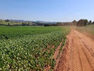 Fazenda para Venda, em Tejup, bairro Rural