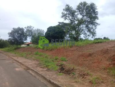 Terreno para Venda, em Cndido Rodrigues, bairro Centro