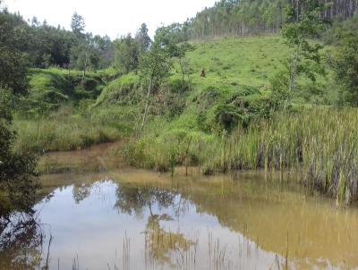 Terreno para Venda, em Entre Rios de Minas, bairro Colhos