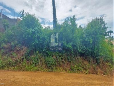 Terreno para Venda, em Guarapuava, bairro Vila Palmira