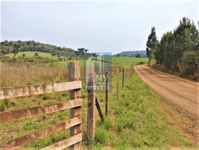 rea Rural para Venda, em Guarapuava, bairro Turvo, 3 dormitrios, 2 banheiros, 3 vagas