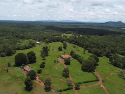 Fazenda para Venda, em Conceio do Tocantins, bairro Zona Rural