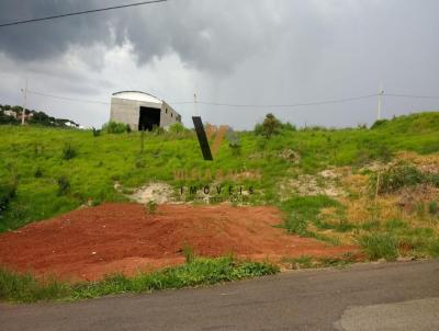 Terreno para Venda, em Alfenas, bairro Jardim Santa Maria