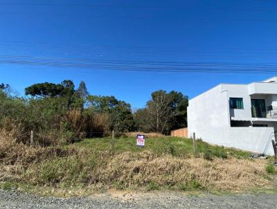 Terreno para Venda, em Mafra, bairro JARDIM MOINHO