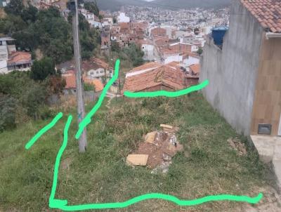 Terreno para Venda, em Jacobina, bairro Flix Tomaz