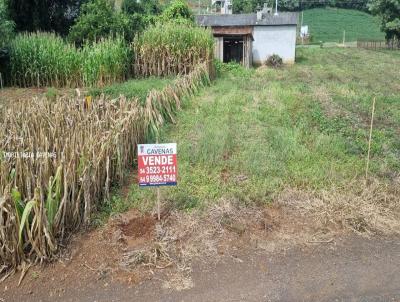 Terreno para Venda, em Baro de Cotegipe, bairro Centro