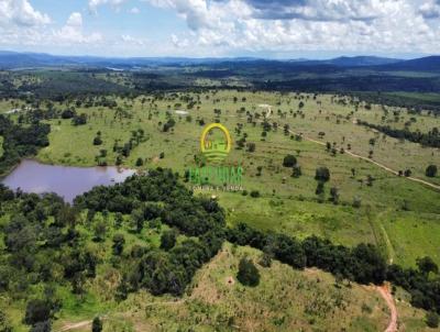 Fazenda para Venda, em Caldas Novas, bairro Zona Rural