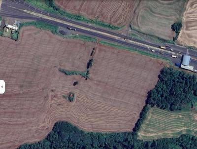 Terreno Industrial para Venda, em Mandaguari, bairro BR 376