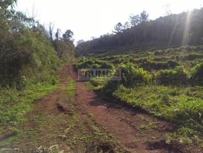 rea Rural para Venda, em Trs Coroas, bairro guas Brancas