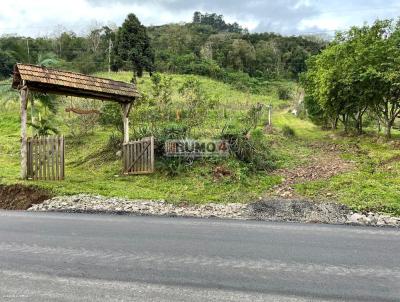 rea Rural para Venda, em Trs Coroas, bairro Linha Caf