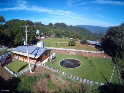 rea Rural para Venda, em Trs Coroas, bairro Figueira