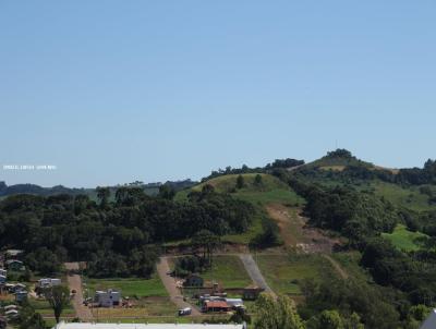 Loteamento para Venda, em Baro de Cotegipe, bairro Centro