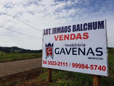 Loteamento para Venda, em Baro de Cotegipe, bairro Centro