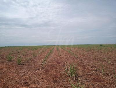 Fazenda para Venda, em Miguelpolis, bairro Fazenda para venda municipio Miguelopolis SP