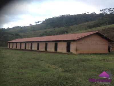 Fazenda para Venda, em Terespolis, bairro RIO BAHIA