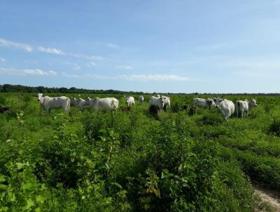 Fazenda para Venda, em So Romo, bairro Rural