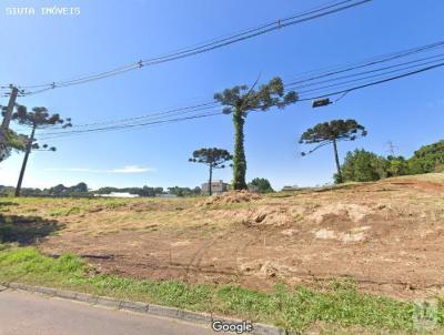 Terreno para Venda, em Curitiba, bairro Butiatuvinha