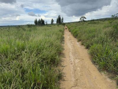 Fazenda para Venda, em Ninheira, bairro Rural