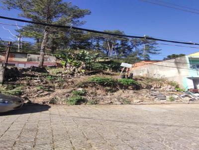 Terreno para Venda, em Guarulhos, bairro Jardim Monte Alto