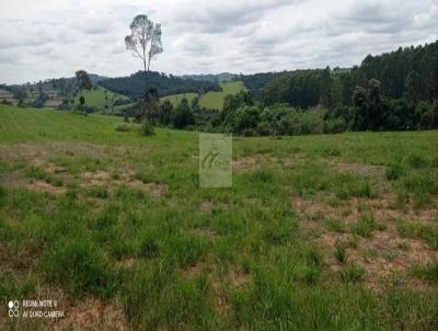 Stio para Venda, em So Sebastio do Paraso, bairro Itaguaba