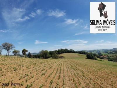 Terreno para Venda, em Munhoz, bairro Zona Rural