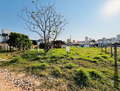 Terreno para Venda, em Imbituba, bairro Nova Brasilia