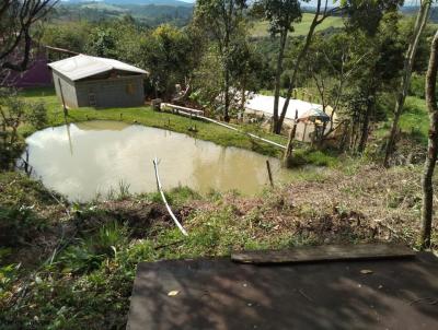 Chcara para Venda, em Munhoz, bairro Zona Rural, 4 dormitrios, 2 banheiros, 10 vagas