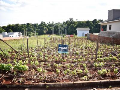 Terreno para Venda, em Santa Rosa, bairro Bairro Timbauva