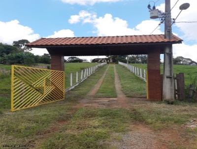 Chcara para Venda, em Munhoz, bairro Zona Rural, 3 dormitrios, 1 banheiro, 1 sute, 13 vagas