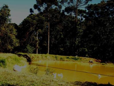 rea Rural para Venda, em Bueno Brando, bairro Zona Rural, 2 dormitrios, 1 banheiro, 1 sute, 13 vagas