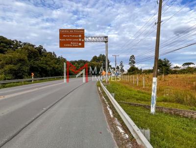 Terreno para Venda, em Rio Negrinho, bairro Bela Vista