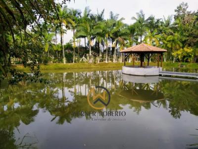 Terreno Comercial para Venda, em Guabiruba, bairro So Pedro, 3 dormitrios, 2 banheiros, 1 sute, 10 vagas