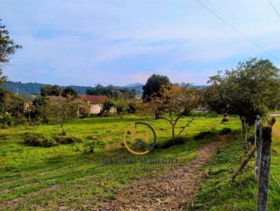 Terreno para Venda, em Guabiruba, bairro So Pedro, 1 banheiro