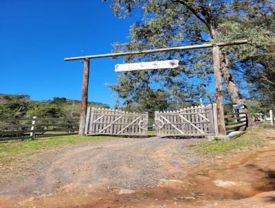 Fazenda para Venda, em Gravata, bairro Morungava VI (Morungava), 4 dormitrios, 2 banheiros