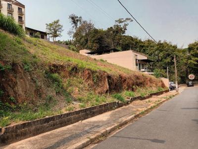 Terreno Comercial para Venda, em Bragana Paulista, bairro Jardim do Lago