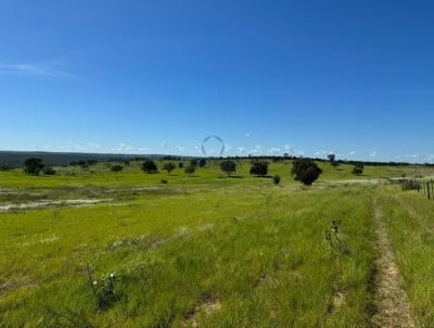 Fazenda para Venda, em Camapu, bairro Rural