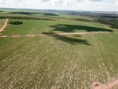 Fazenda para Venda, em Chapado do Sul, bairro Rural