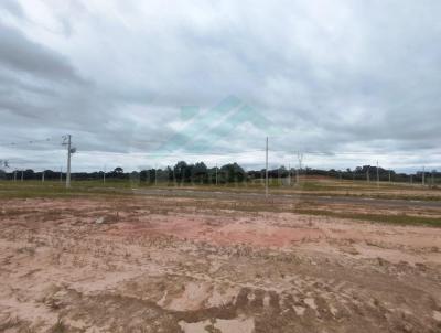 Terreno para Venda, em Fazenda Rio Grande, bairro Gralha Azul