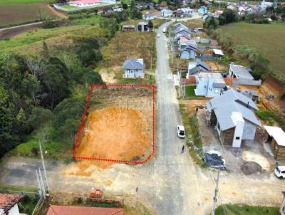 Terreno para Venda, em Agronmica, bairro Morro do Reuter