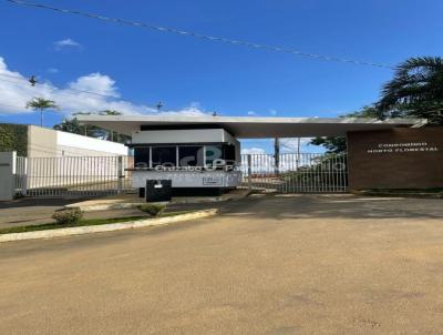 Terreno para Venda, em Cataguases, bairro Horto Florestal