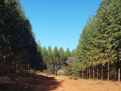 Fazenda para Venda, em Corao de Jesus, bairro ZONA RURAL